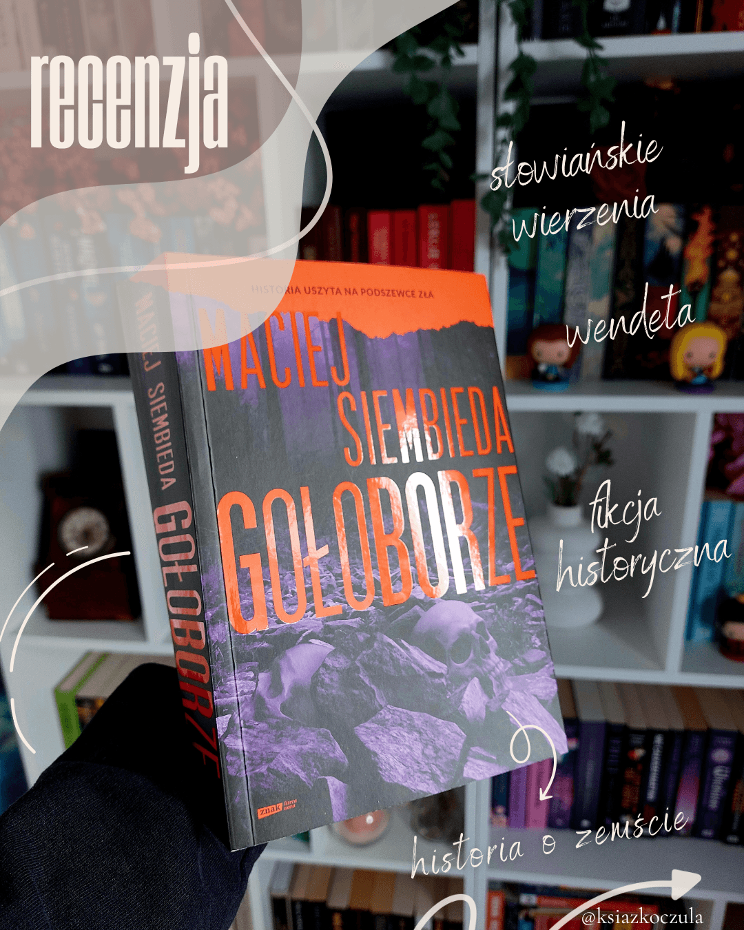 Okładka książki Gołoborze